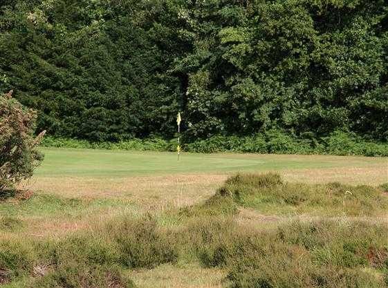 A view of the 3rd green at Limpsfield Chart Golf Club