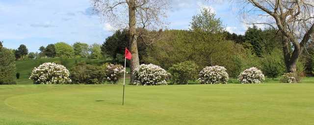 A spring day view of a hole at Morpeth Golf Club