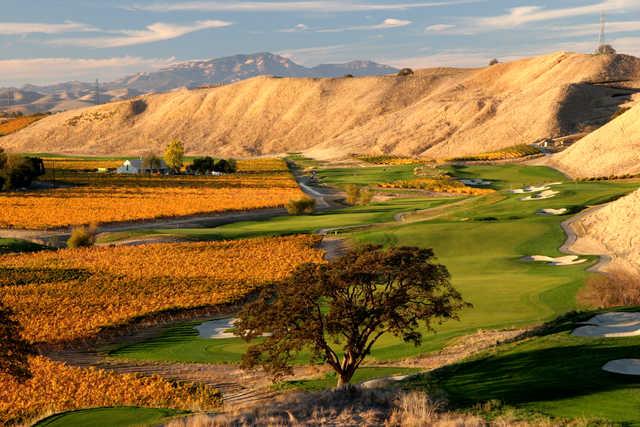A view from The Course at Wente Vineyards