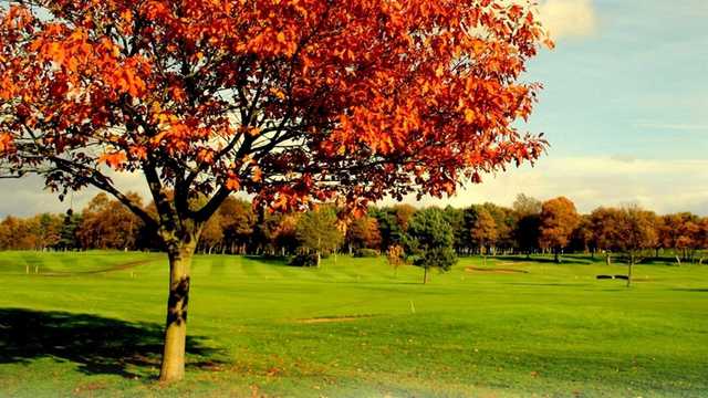 A fall day view from Ponteland Golf Club