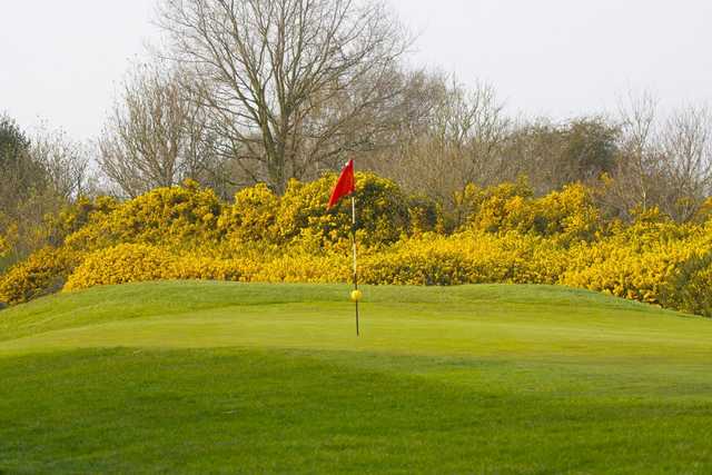 A view of a green at Tadmarton Heath Golf Club.