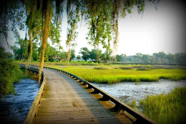 A view from Sapelo Hammock Golf Club