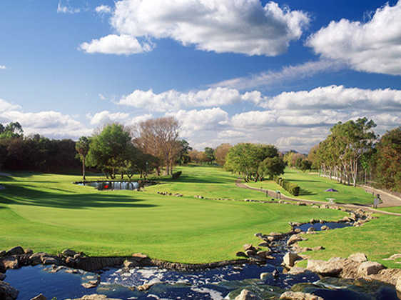 A view of a green at Los Robles Greens Golf Course