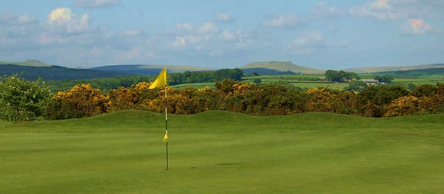 A view of the 8th hole at Yelverton Golf Club