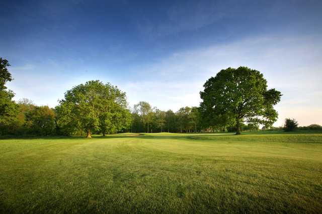 Fairway and green at Redlibbets Golf Club