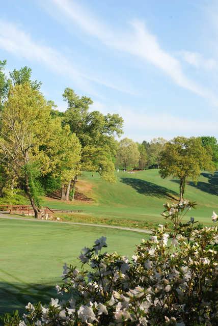 View of the 2nd hole from the Chateau Course at Chateau Elan Golf Club