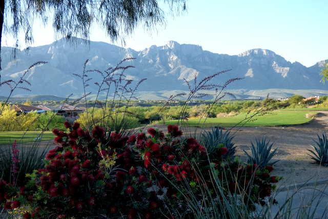 View of the 1st tee from The Views Golf Club at Oro Valley
