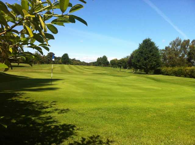 View of a green at The Hirsel Golf Club