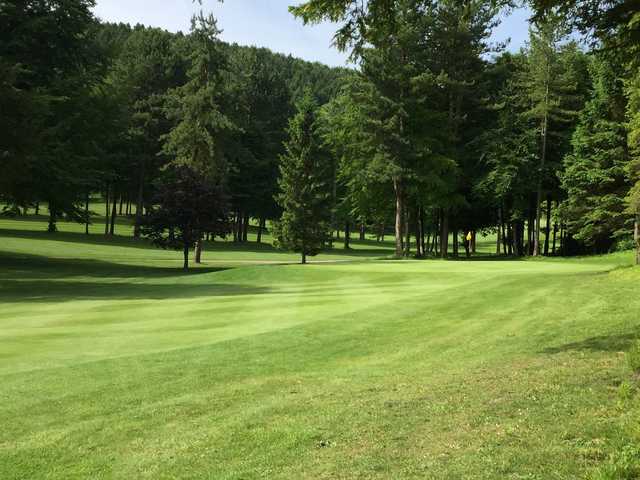View of a green at Chiltern Forest Golf Club