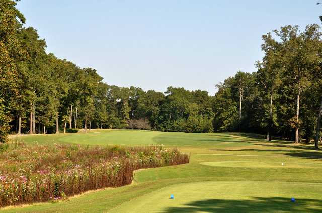 The Bear Trace at Harrison Bay Golf Course Maintenance: Painting the greens