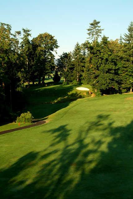 The 347-yard fourth at Duncan Meadows Golf and Country Club ends with a narrow green nestled in the trees over a hazard