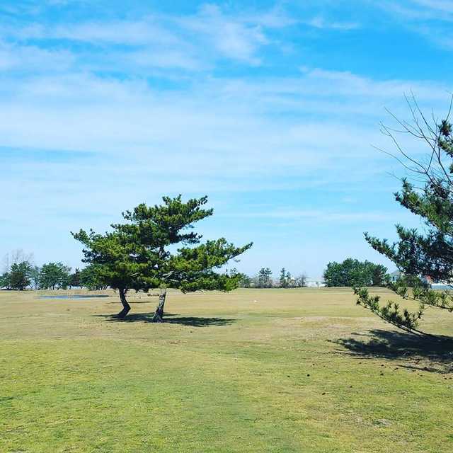 A sunny day view from Brigantine Golf Links