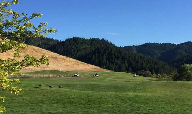 A view of a hole at Myrtle Creek Golf Club