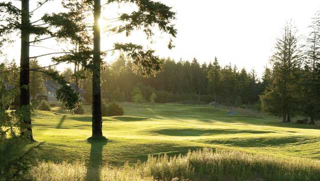 A sunny day view from Crown Isle Golf Course