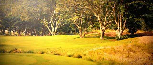 A view of a green at Prestige Golfshire Golf Club