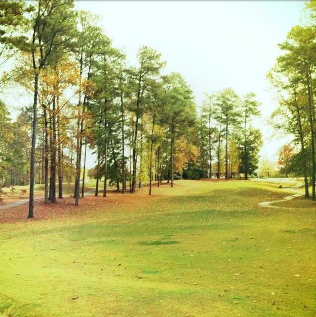 A view with narrow path in background from Fox Creek Golf Club