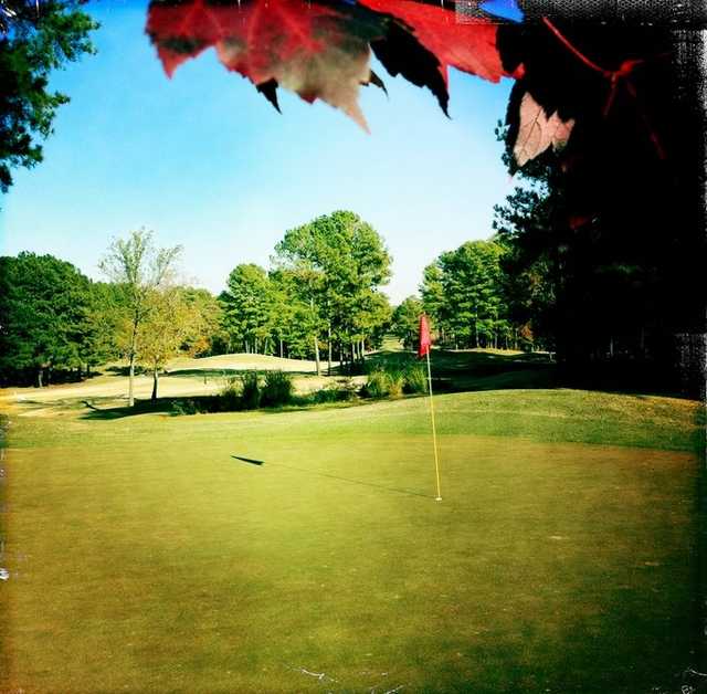 A view of green at Fox Creek Golf Club