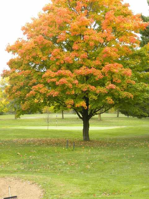 A view of a green at Maplecrest Country Club