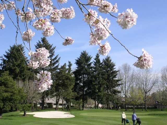A spring view from Green/Red at Charbonneau Golf Club