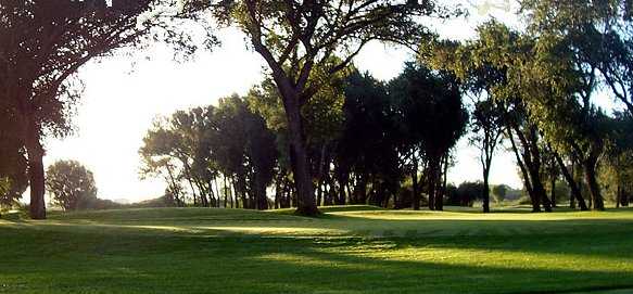 A view from Cattails Golf Club