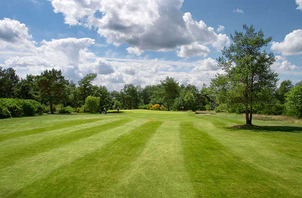 Ladybank Golf Club: 7th hole