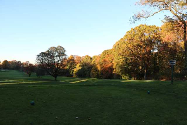 A view from tee #1 at Forest Park Golf Course (Project Woodhaven)