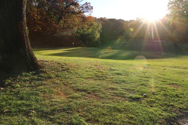 A sunny day view of a hole at Forest Park Golf Course (Project Woodhaven)