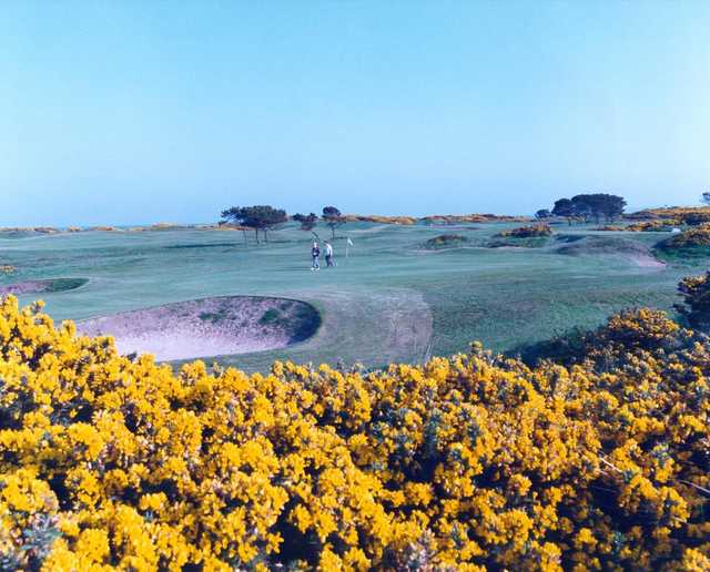 Murcar Links Golf Club - The 8th green of Strabathie Course