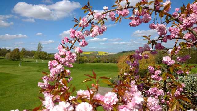 A spring day view of a hole at Marlborough Golf Club