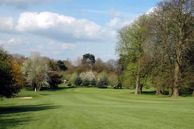 Tree lined approach at Aldenham Golf Club