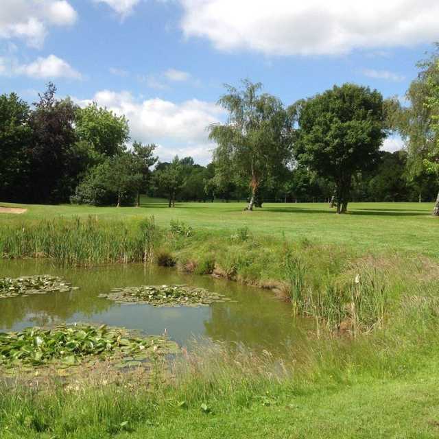 Aldenham Golf Club, 7th green