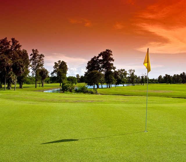 A view of green at Apollo Beach Golf Club.