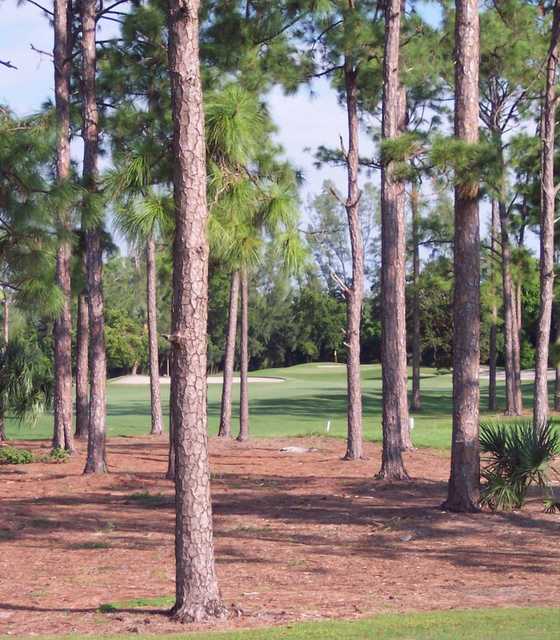 A view of green surrounded by bunkers at Atlantis Country Club