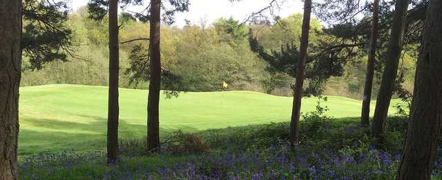 View of a green at Atherstone Golf Club