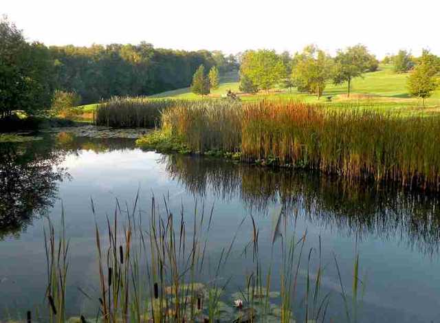 Water hazard at Chiddingfold Golf Club