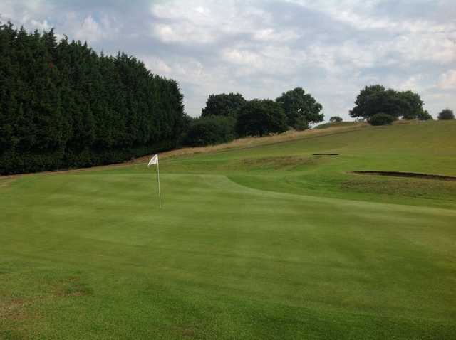 Ruxley park's 8th green