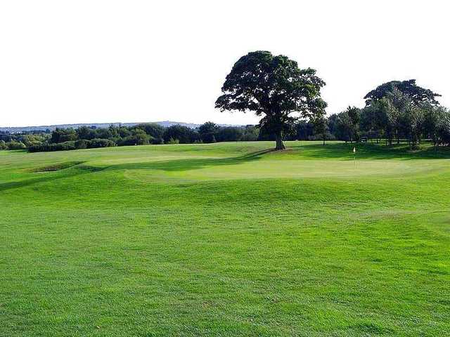 Greenside view of the 7th hole at Crow Nest Park GC