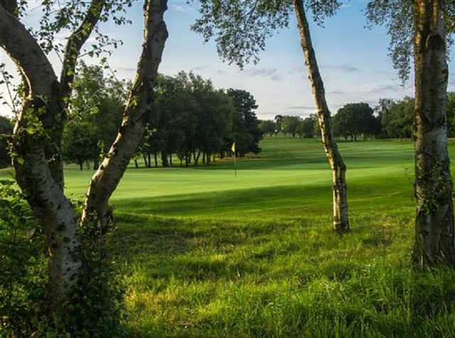 Green on the Sand Moor Golf Course