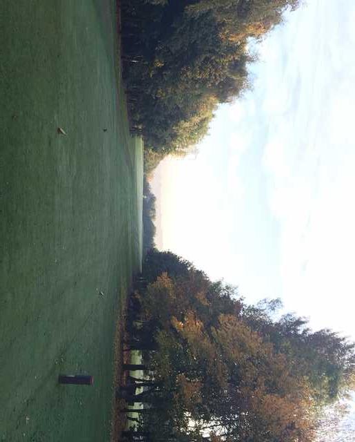 The Bradley Park golf course 