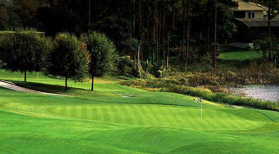 A view of a green at DeBary Golf & Country Club