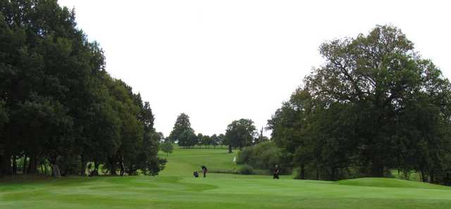 Tree-lined fairways as seen at Stoneleigh Deer Park Golf Club