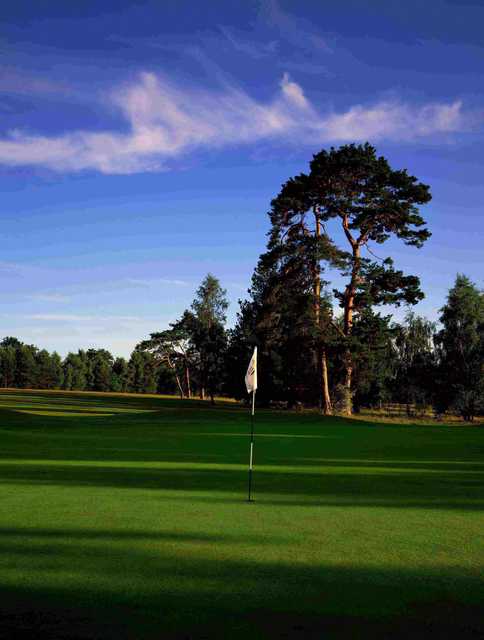 Meon Course at Meon Valley: #15