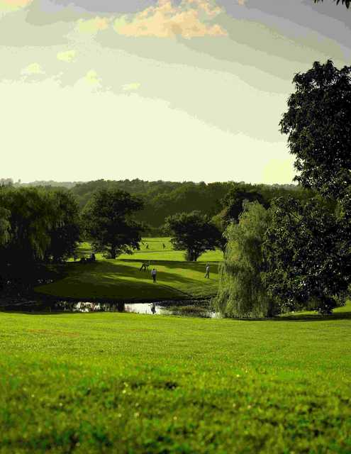 Golfers on the 12th green at Meon Course from Meon Valley Hotel & Country Club