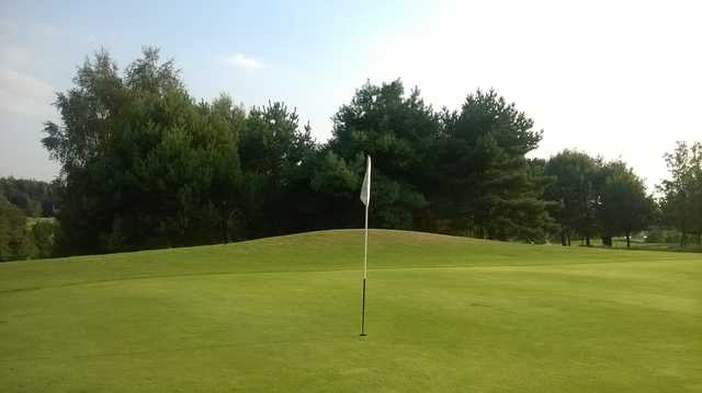 On the 8th green at Brentwood Golf Club