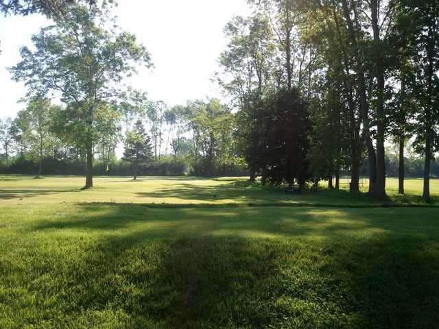 A view of a green at NINE Golf
