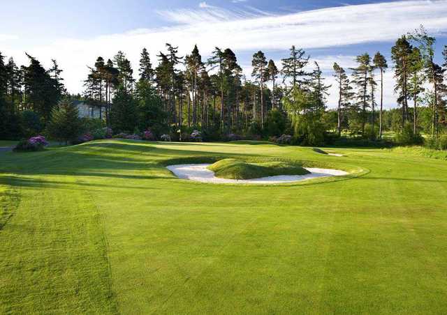 Hunting at Slaley Hall: 2nd green