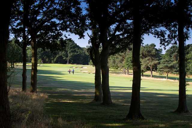 8th green, Hadley Wood Golf Club