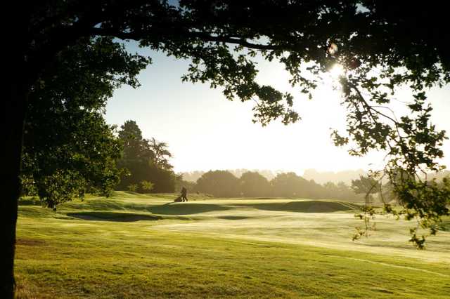 14th green, Hadley Wood Golf Course