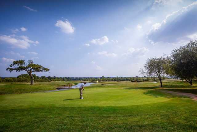 On the green at Farrington Park