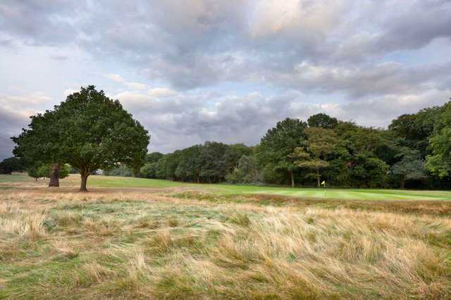 A view of the 4th green at Richmond Park Golf Club from the rough that guards it.